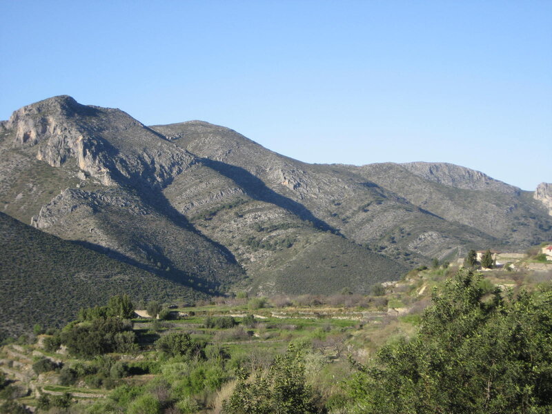 Mountain Range with Terraced Fields
