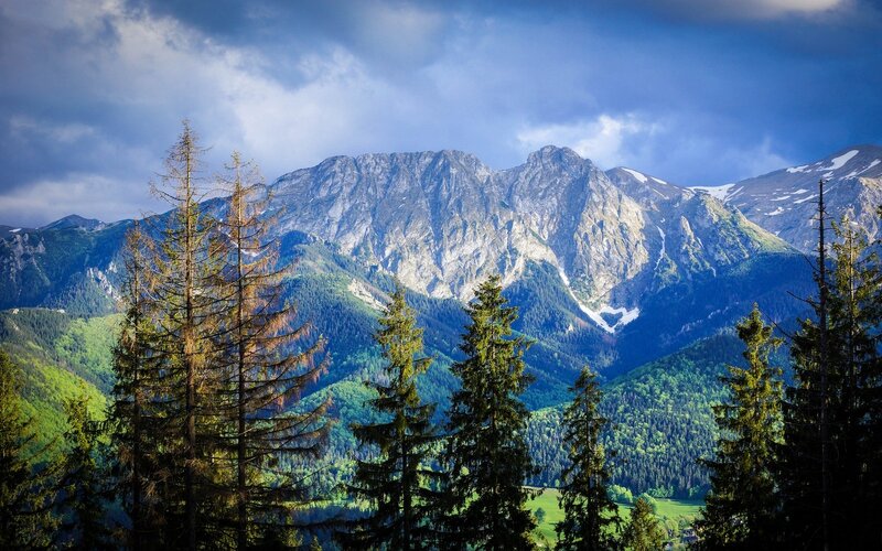 Mountain Range with Trees — Blue, Dramatic, Afternoon