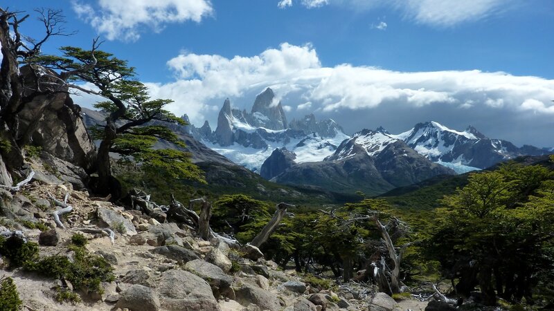 Mountain Range with Trees — Blue, Dramatic