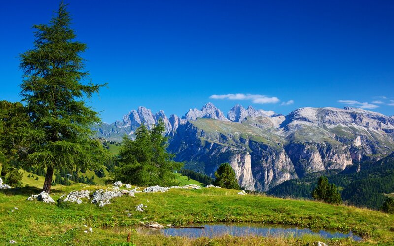 Mountain Range with Trees — Blue, Serene, Afternoon, Photograph, Grass, Pond