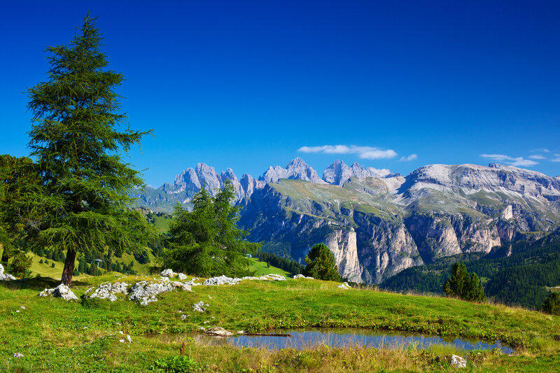 Mountain Range with Trees — Blue, Serene, Afternoon, Photograph, Grass
