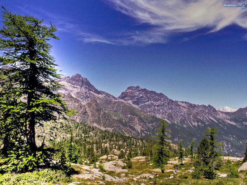 Mountain Range with Trees — Blue