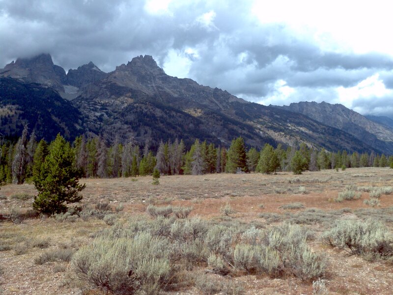 Mountain Range with Trees — Gray