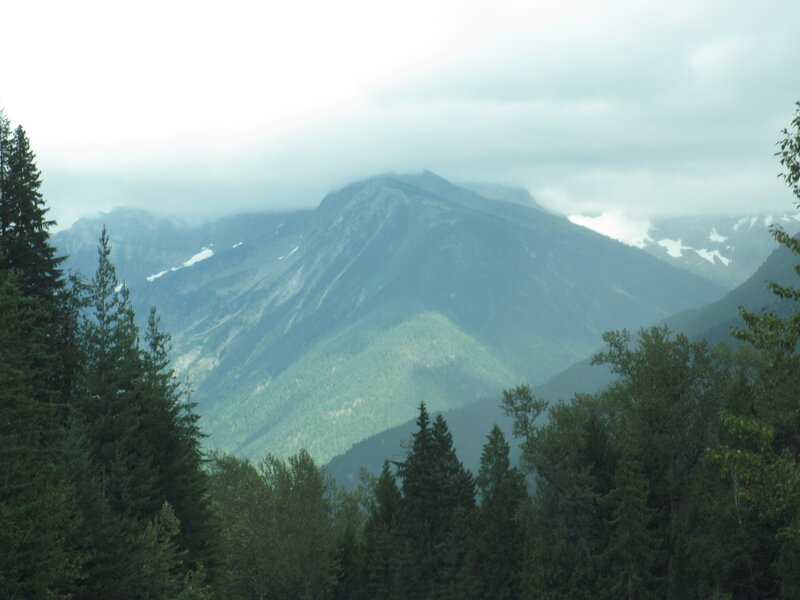 Mountain Range with Trees — Green, Misty