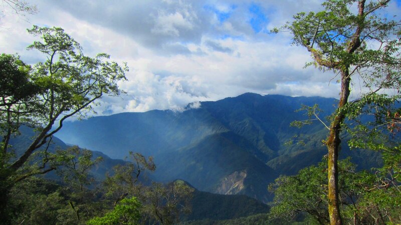 Mountain Range with Trees — Green, Serene, Afternoon, Photograph, Clouds, Valley