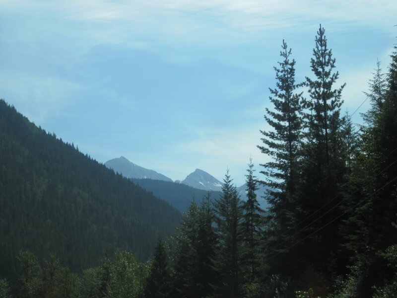 Mountain Range with Trees — Green, Serene, Afternoon, Photograph, Mountains, Sky, Power Lines