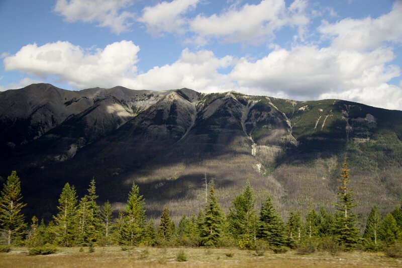 Mountain Range with Trees — Green, Serene, Afternoon, Photograph