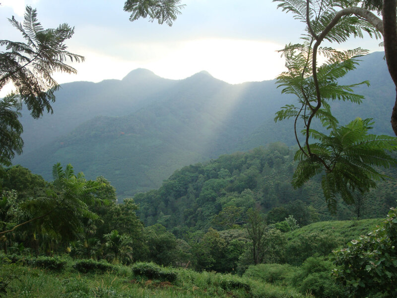 Mountain Range with Trees — Green, Serene, Morning