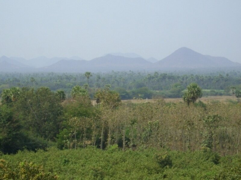Mountain Range with Trees — Green