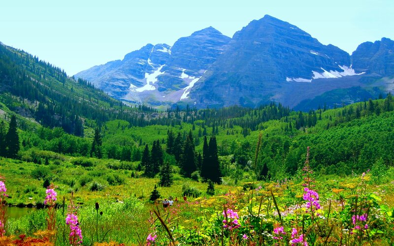 Mountain Range with Wildflowers — Green, Serene, Summer