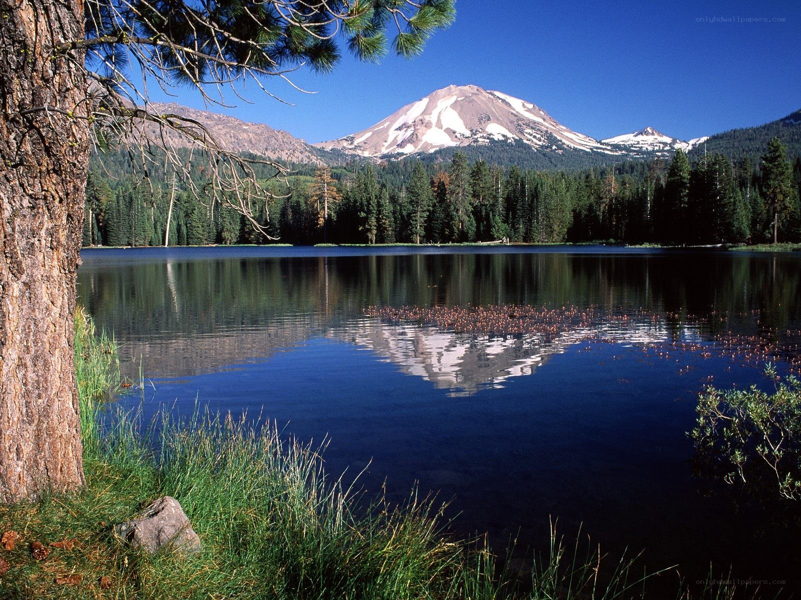 Mountain reflected in a calm lake