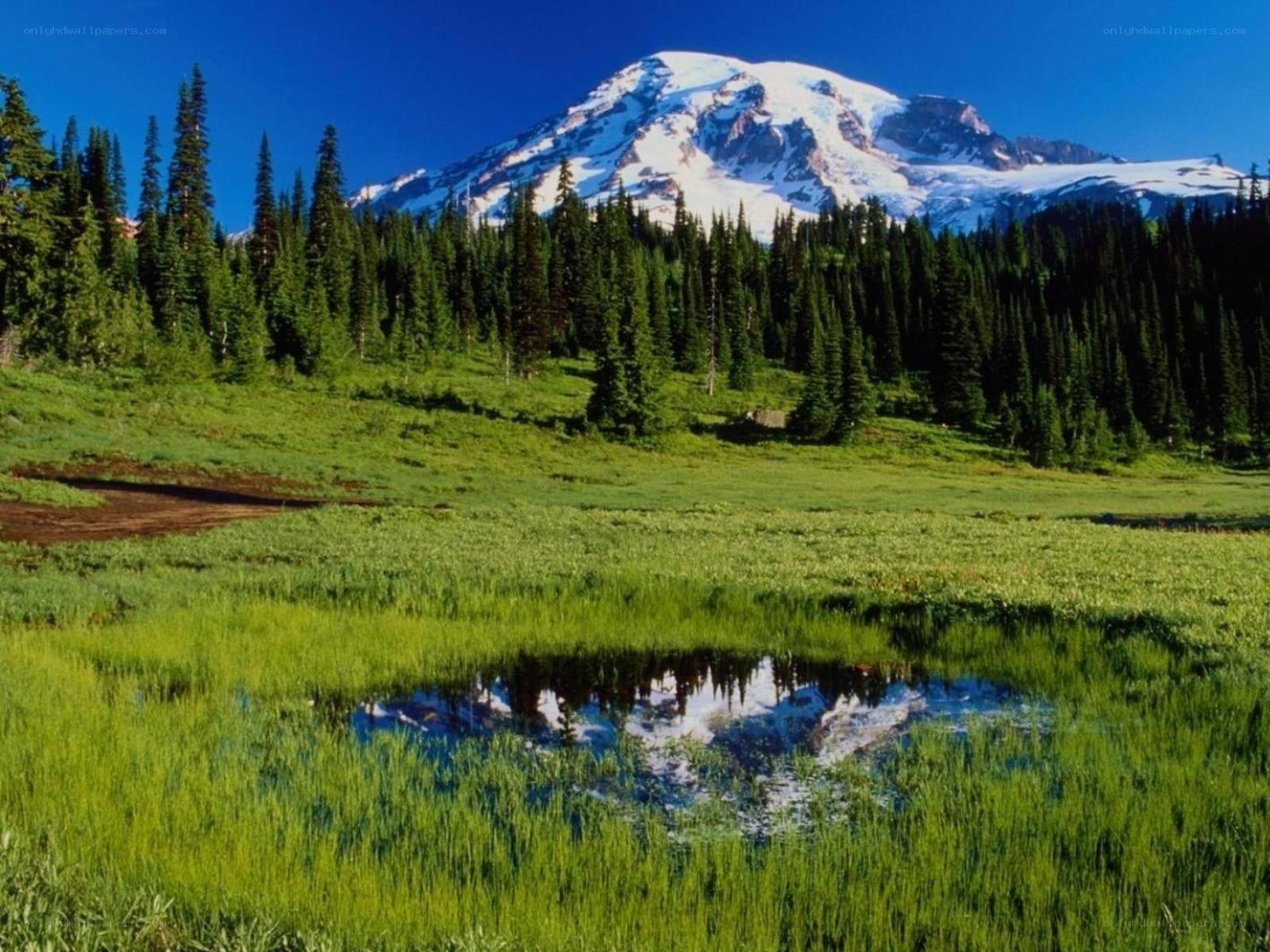 Mountain reflected in a pond