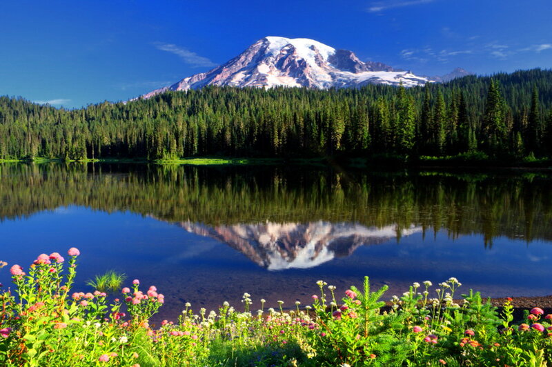 Mountain Reflected in Lake — Blue, Serene, Afternoon, Photograph, Forest, Flowers