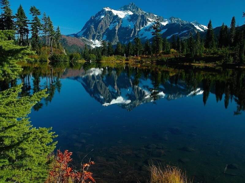 Mountain Reflected in Lake — Blue, Serene, Afternoon, Photograph, Trees, Snow