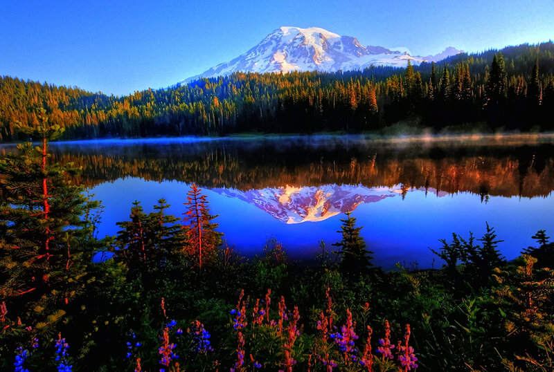 Mountain Reflected in Lake — Blue, Serene, Morning, Photograph, Forest, Flowers, Mist