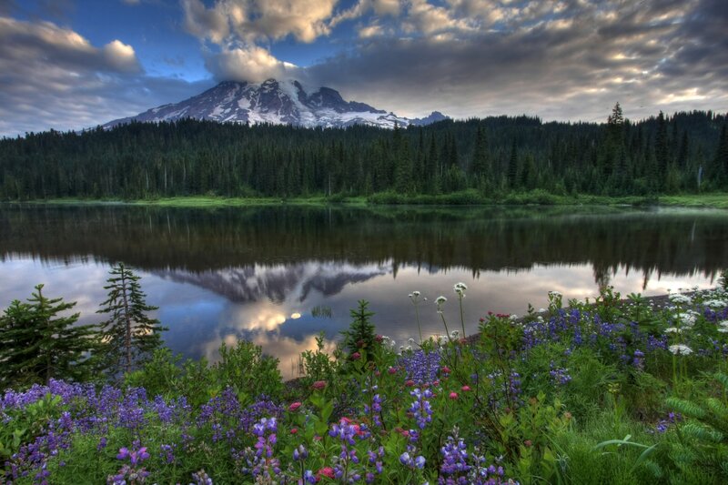 Mountain Reflected in Lake — Blue, Serene, Morning, Photograph, Forest, Flowers