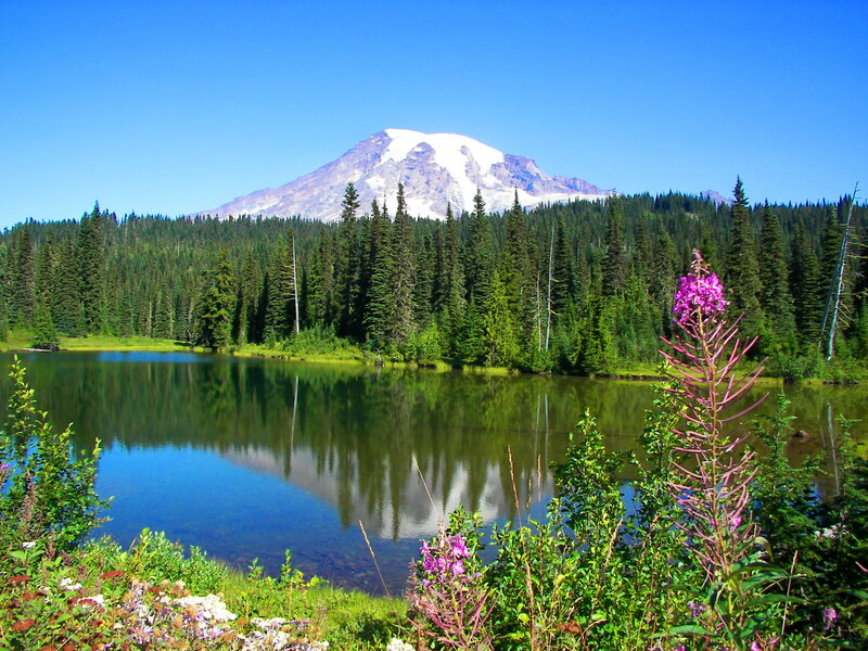 Mountain Reflected in Lake — Blue, Serene, Summer, Photograph, Forest, Flowers