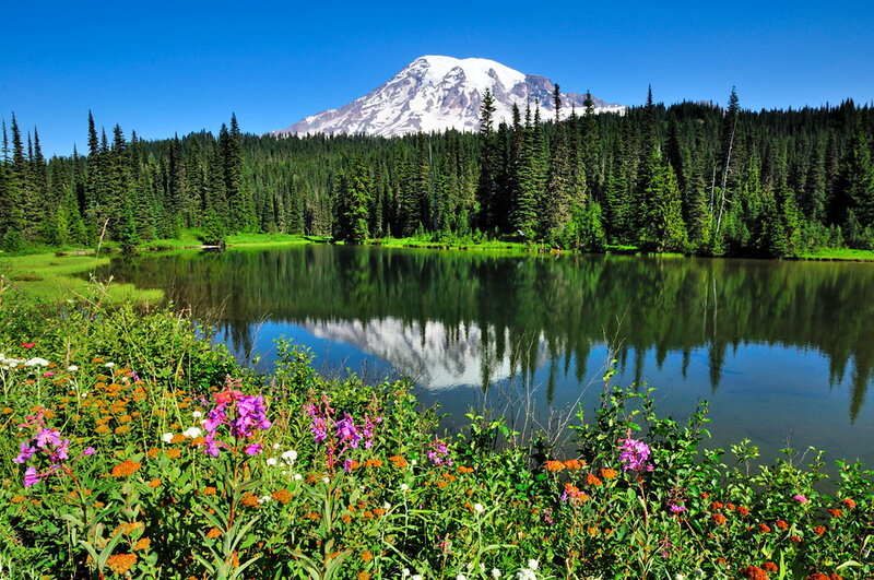 Mountain Reflected in Lake — Blue, Serene, Summer, Photograph, Forest, Wildflowers