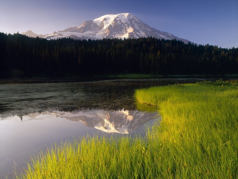 Mountain Reflected in Lake — Green, Serene, Morning, Photograph, Forest, Grass
