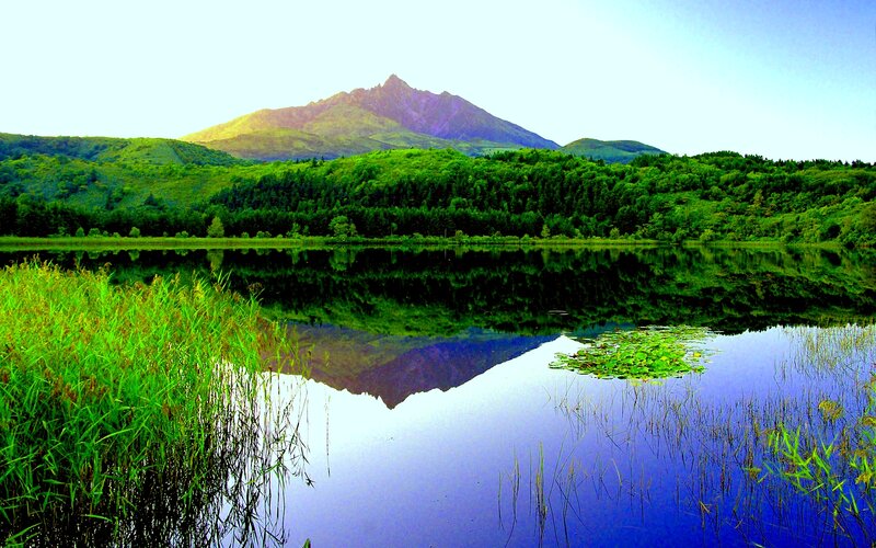 Mountain Reflected in Lake — Green, Serene, Morning, Photograph, Forest, Reeds