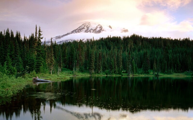 Mountain Reflected in Lake — Green, Serene, Sunrise, Photograph, Forest