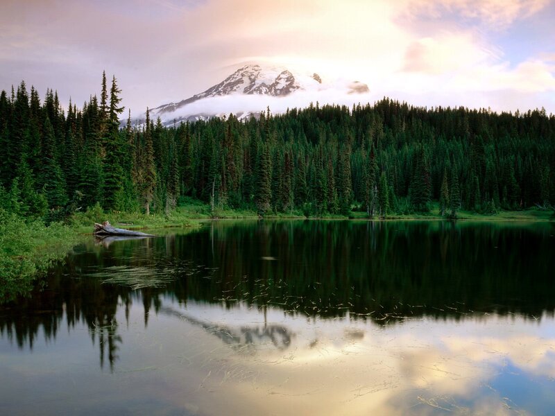 Mountain Reflected in Lake — Green, Serene, Sunset, Photograph, Forest, Snow-capped Mountain
