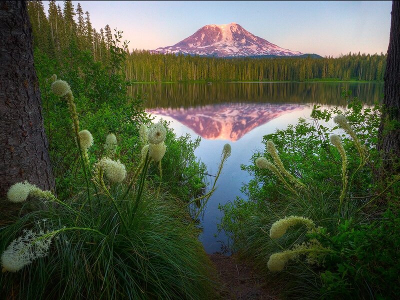 Mountain Reflected in Lake — Green, Serene, Sunset, Photograph, Trees, Flowers