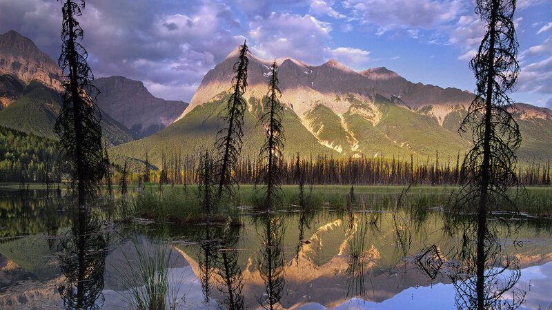 Mountain Reflected in Lake — Green, Serene, Sunset, Photograph, Trees