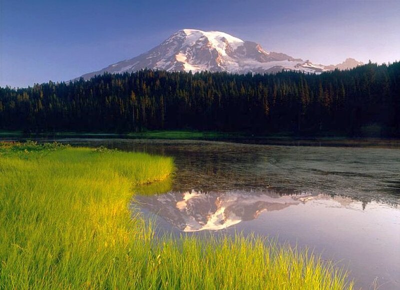 Mountain Reflected in Lake — Green, Serene