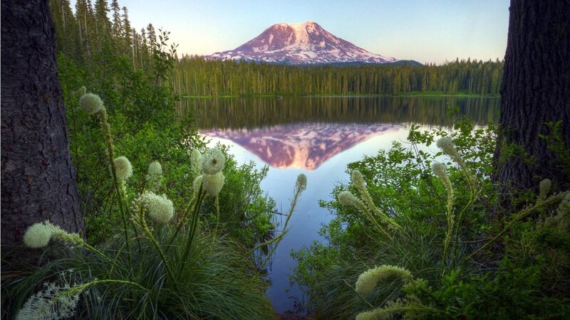 Mountain Reflected in Lake — Green