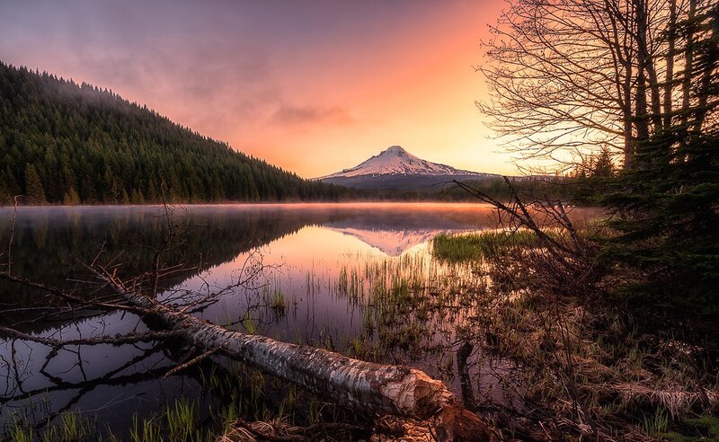 Mountain Reflected in Lake — Orange, Serene, Sunset, Photograph, Forest, Fallen Log