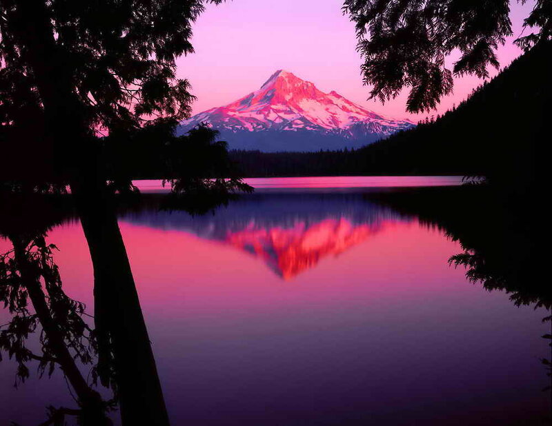 Mountain Reflected in Lake — Pink, Serene, Sunset, Photograph, Tree