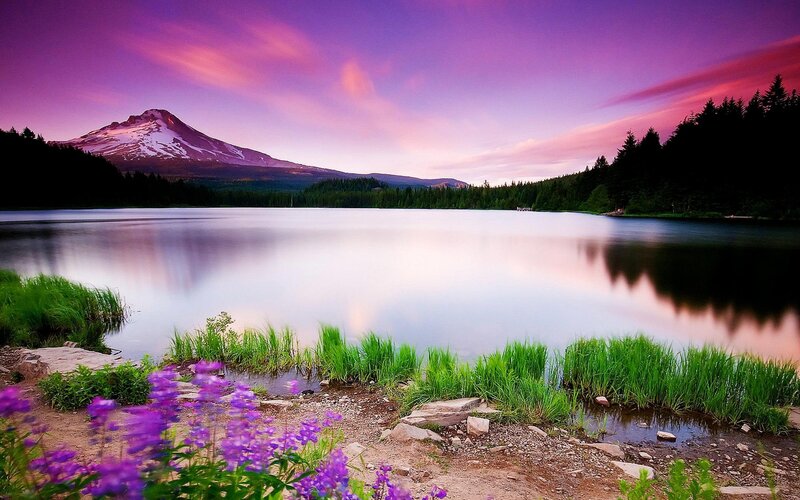 Mountain Reflected in Lake — Purple, Serene, Sunset, Photograph, Flowers