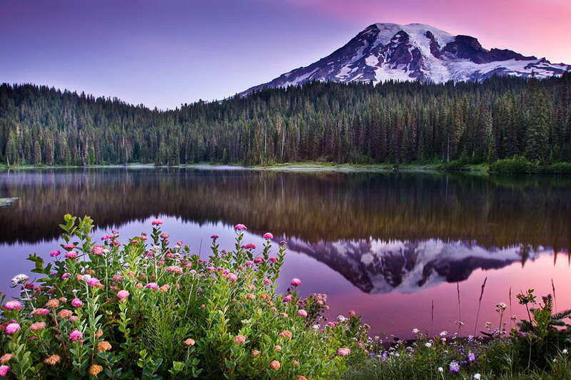 Mountain Reflected in Lake — Purple, Serene, Sunset, Photograph, Forest, Flowers