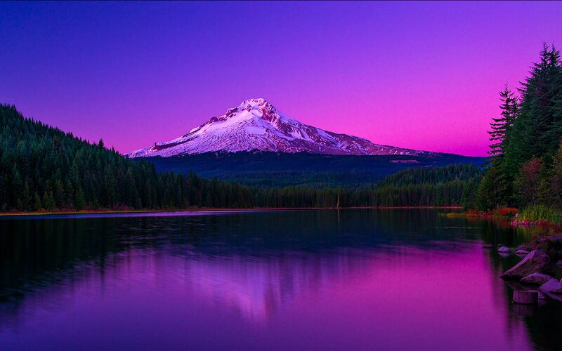 Mountain Reflected in Lake — Purple, Serene, Sunset, Photograph, Forest, Snow-capped Peak