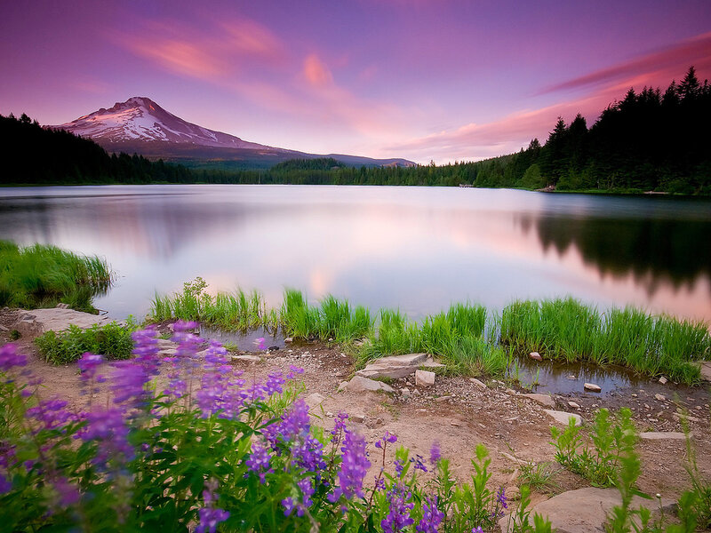 Mountain Reflected in Lake — Purple, Serene, Sunset, Photograph
