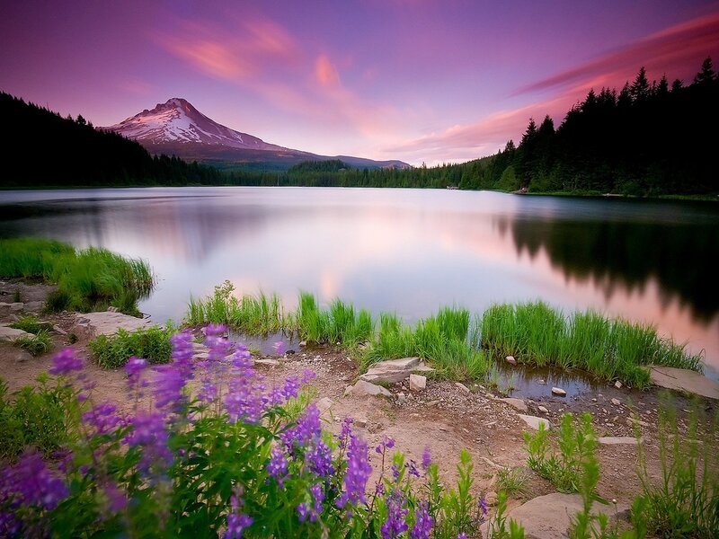 Mountain Reflected in Lake — Purple, Serene
