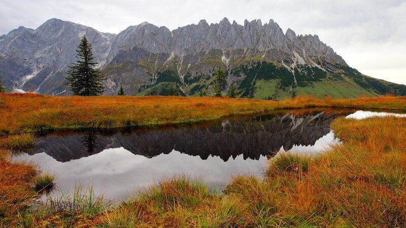 Mountain Reflected in Pond — Gray