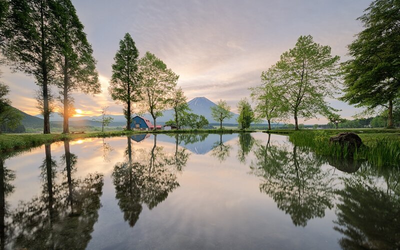 Mountain Reflected in Pond — Green