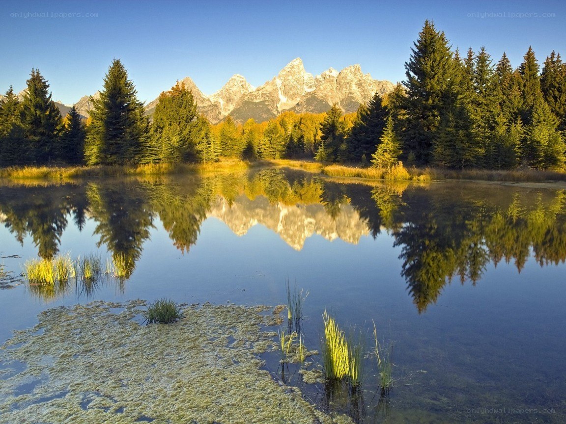mountain reflection in a calm lake