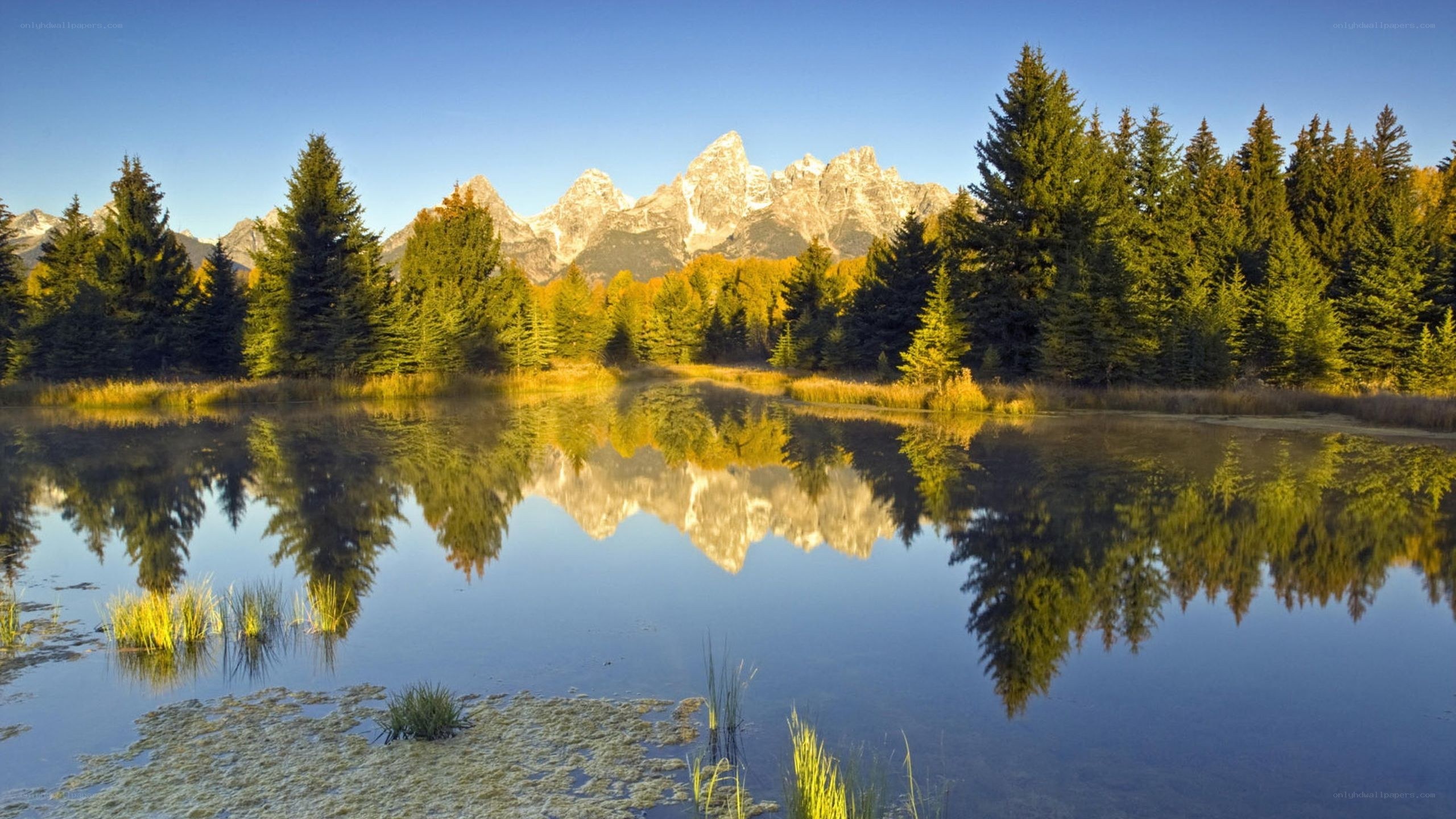 Mountain reflection in a calm lake