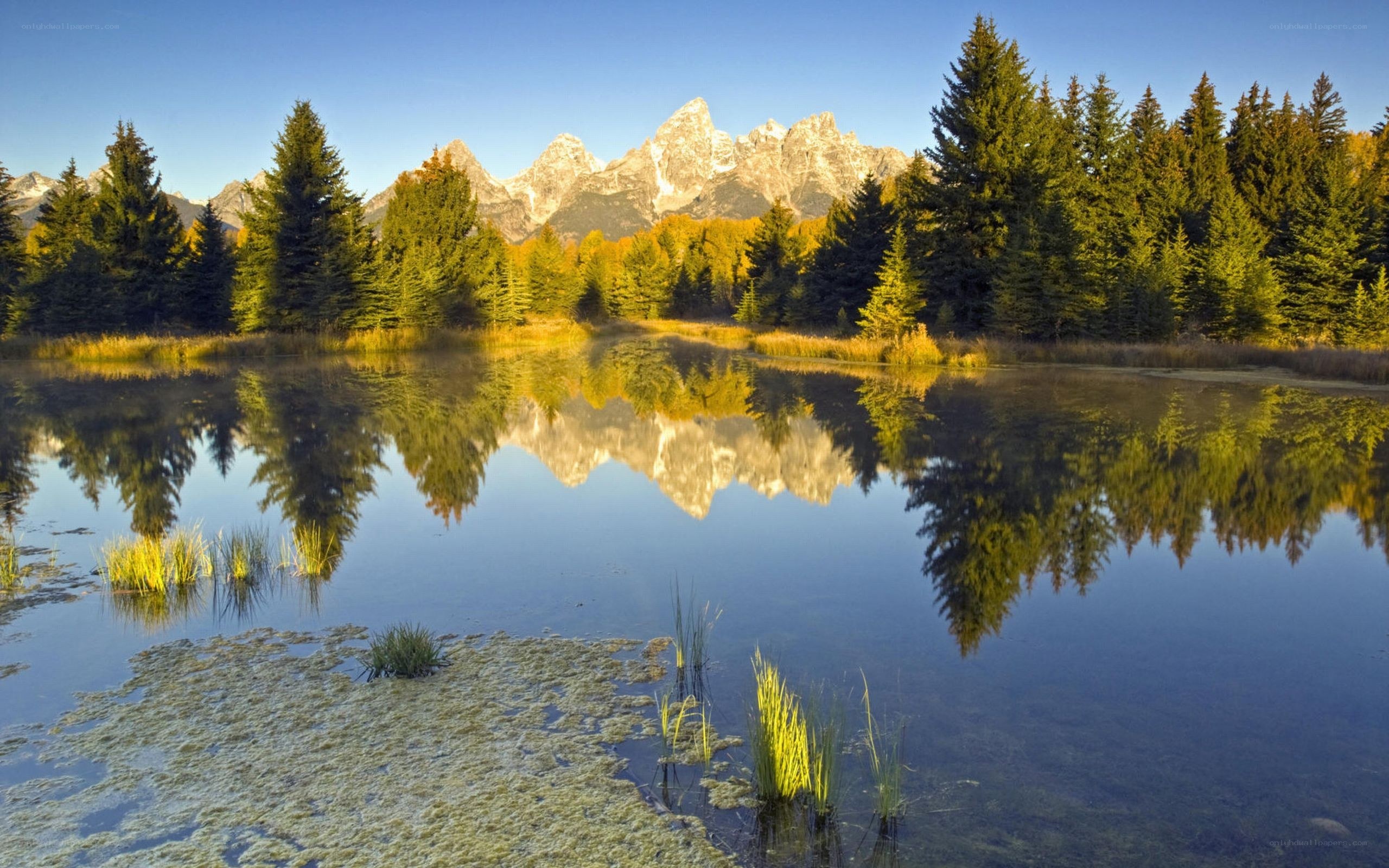 Mountain reflection in a calm lake