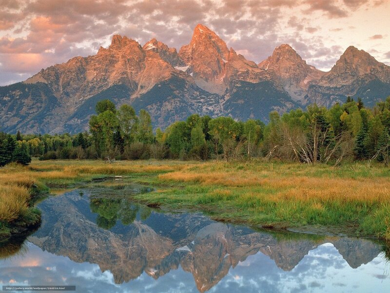mountain reflection in a calm pond