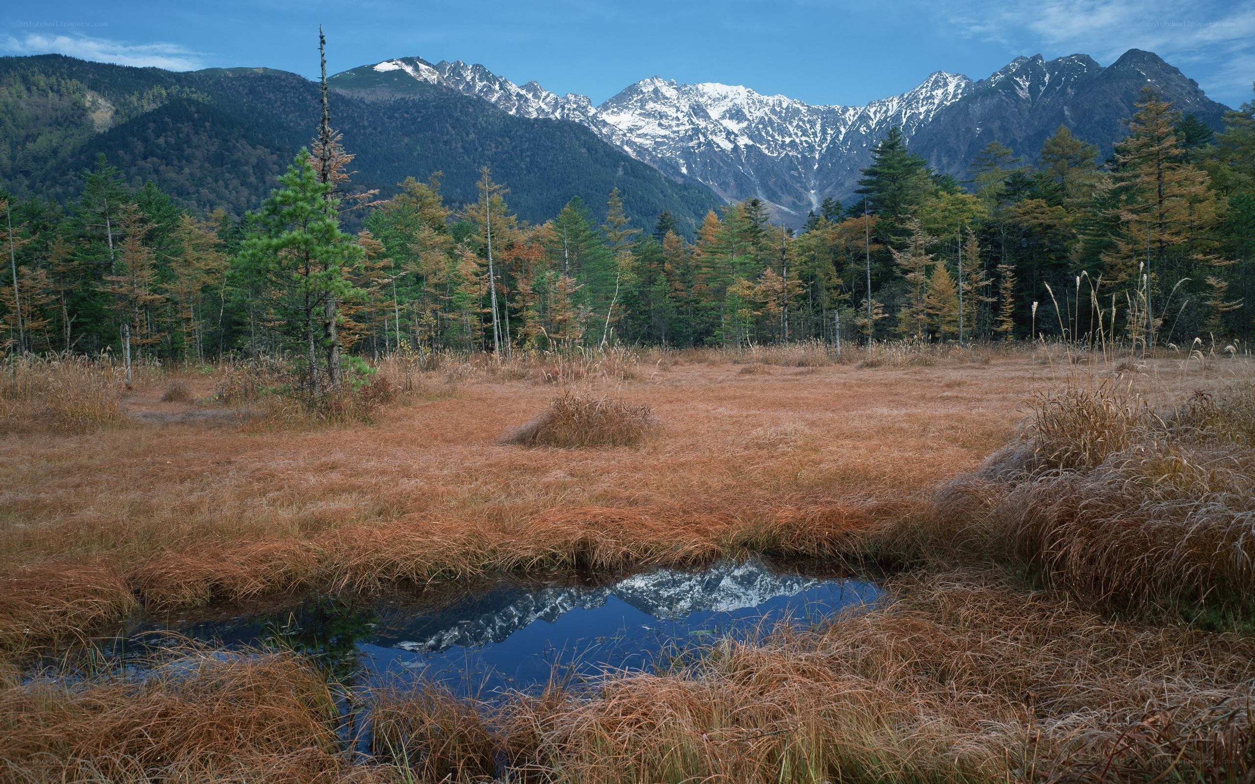 Mountain reflection in a marsh