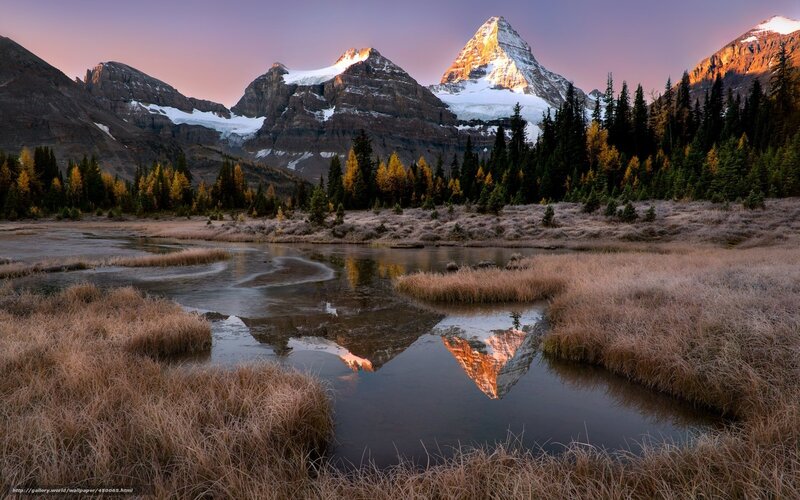 Mountain reflection in a marsh