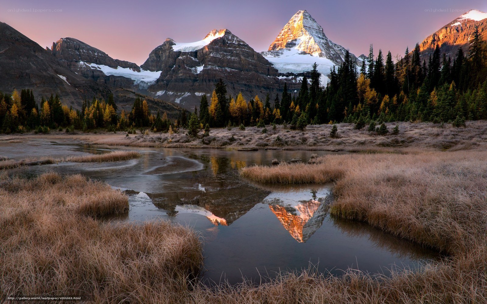 Mountain reflection in a marsh
