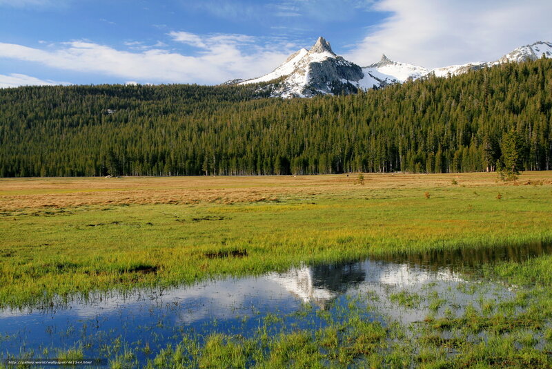 Mountain reflection in a meadow