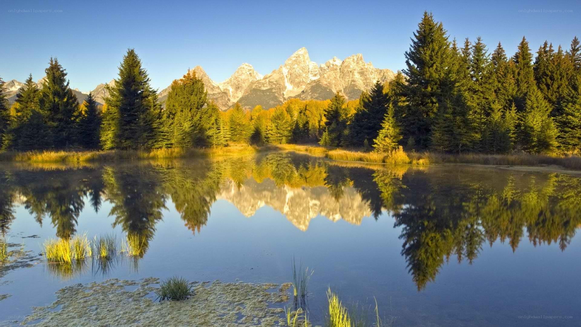 mountain reflection in calm lake