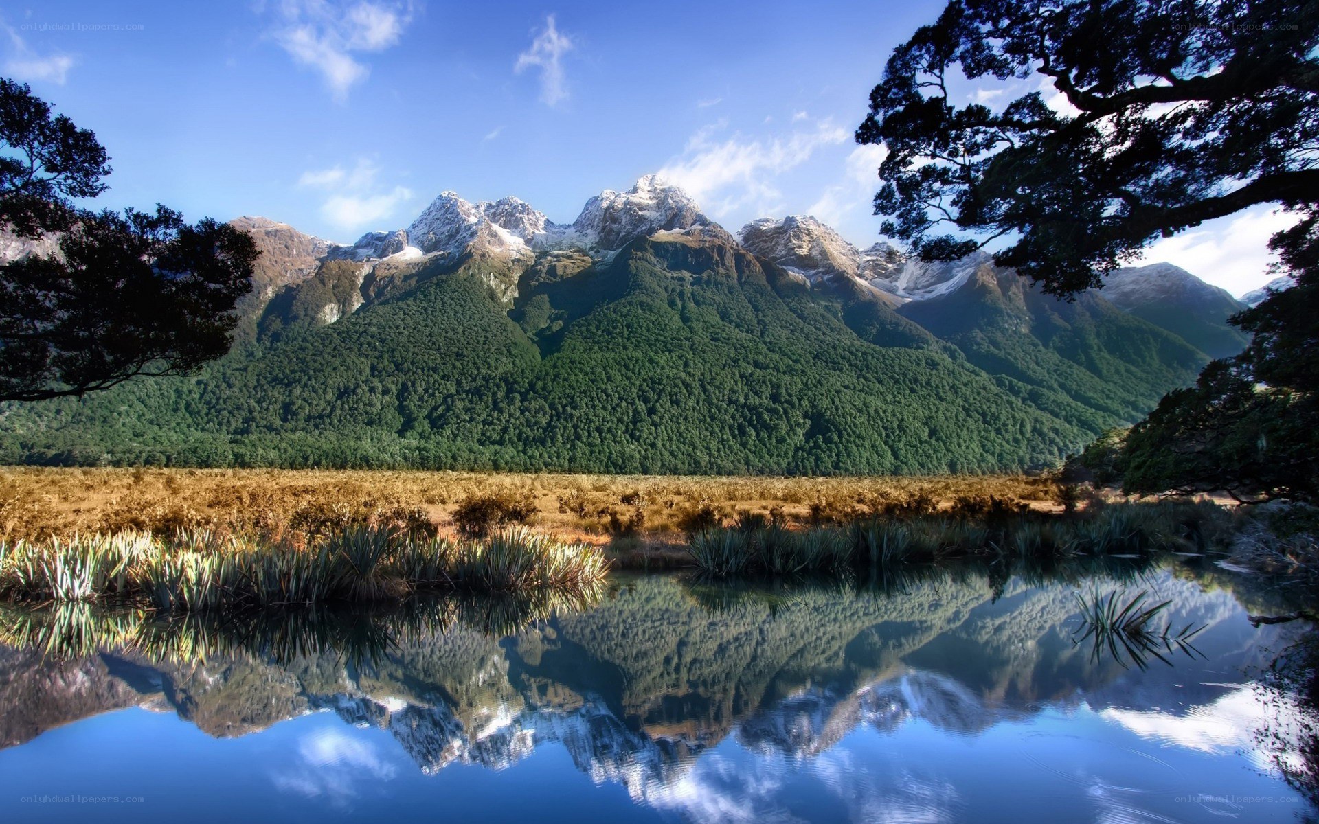 mountain reflection in lake