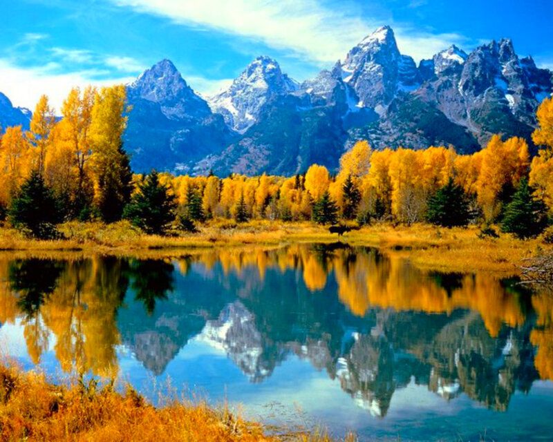 Mountain Reflection in Lake — Blue, Serene, Autumn, Photograph, Trees, Mountains, Moose
